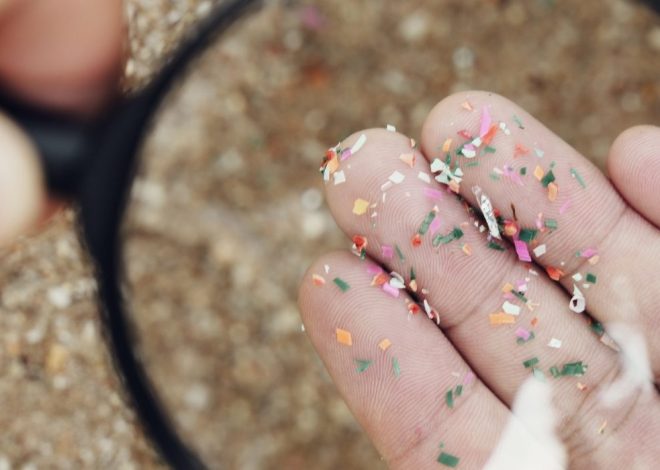 Do microplastics affect fertility? | 2025 Research updates