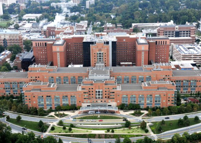 Director of NIH Institute of Neurological Disorders ousted