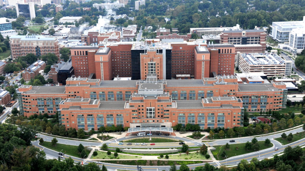 Director of NIH Institute of Neurological Disorders ousted