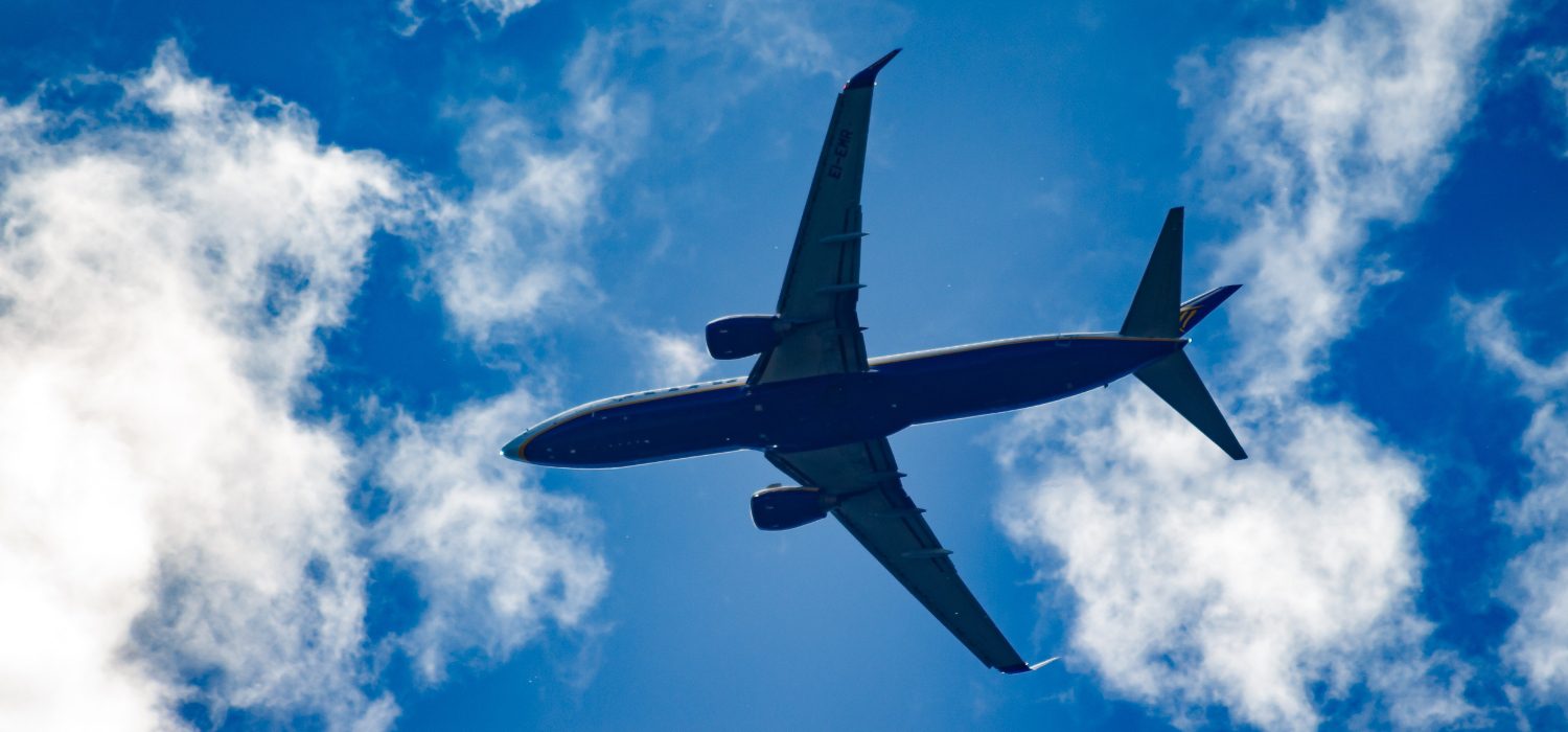 Can frozen embryos be shipped internationally? 101 Safety Guide