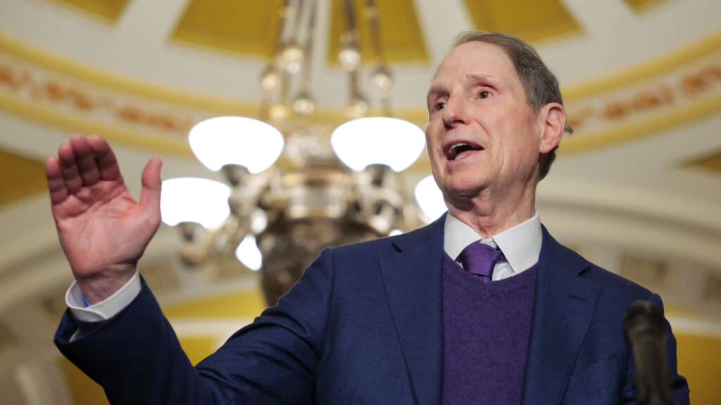 Senate Democrats outline plans to reform health insurance