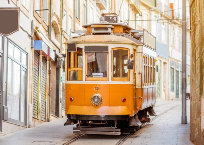 How to spend your treatment downtime – The IVF Porto guide